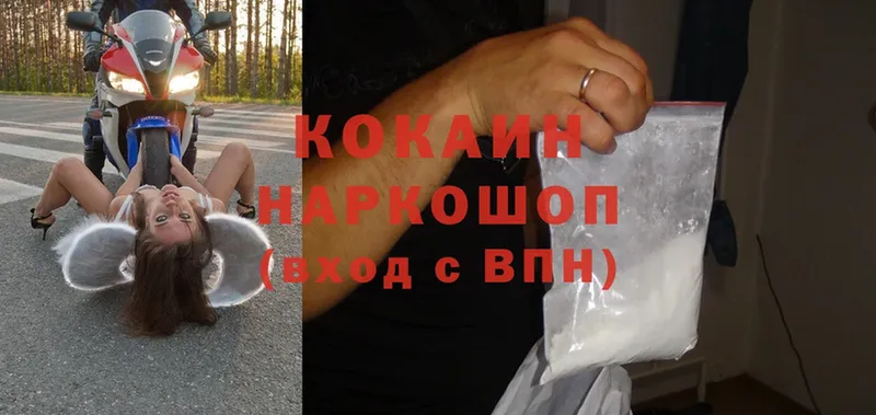 Cocaine FishScale  Бронницы 